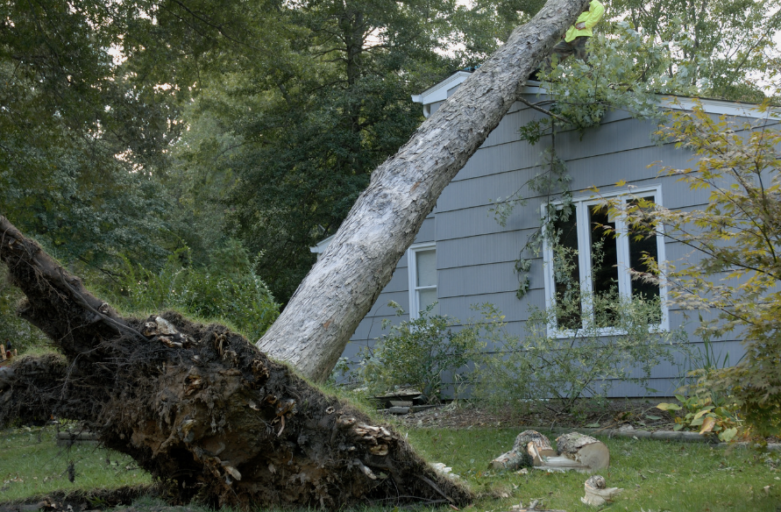 storm damage and insurance restoration blog post header